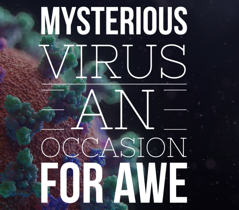 Mysterious Virus an Occasion for Awe